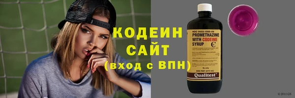молекула духа Гусев