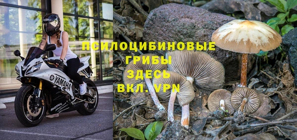 молекула духа Гусев